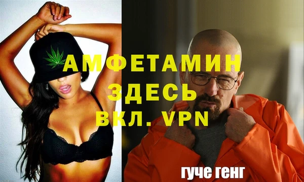 гидра Вязьма