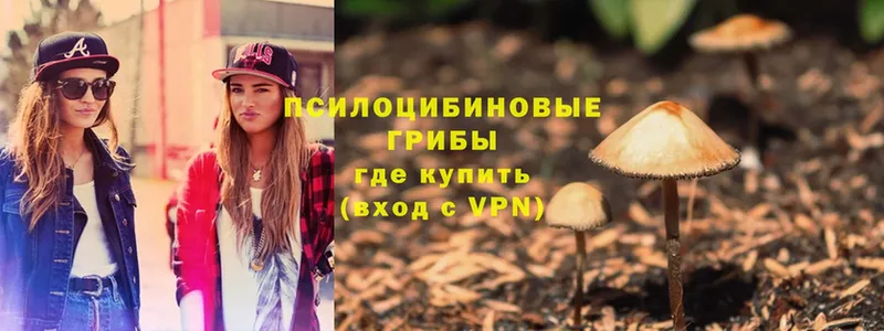 Псилоцибиновые грибы MAGIC MUSHROOMS  Лукоянов 